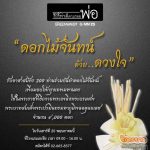ข่าวประชาสัมพันธ์ & หมวดอื่นๆ